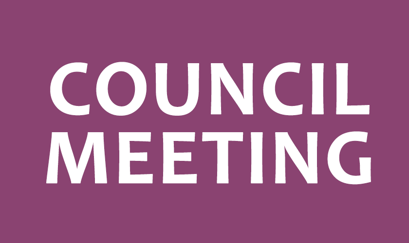 Rehab Council Meeting Logo